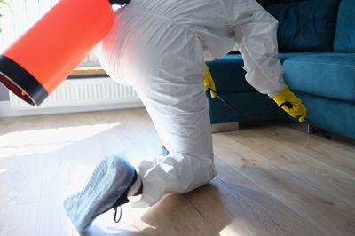 Residential Fumigation in Cumming, GA