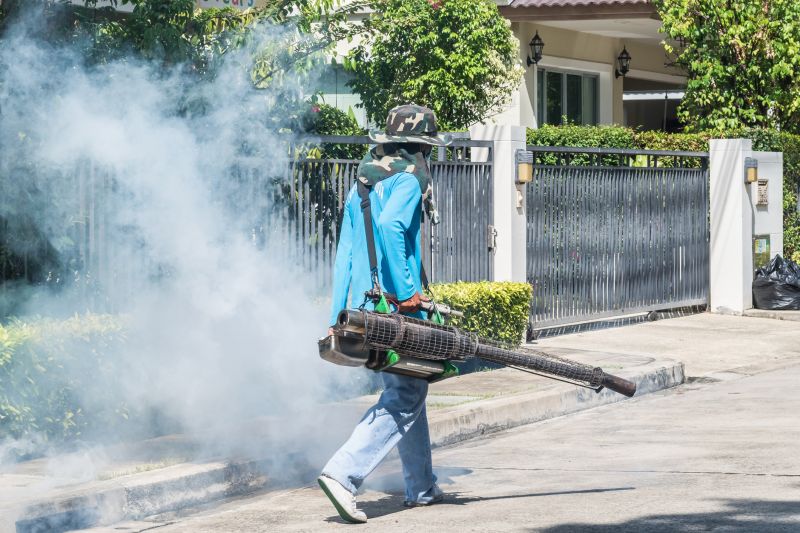 Spider Fumigation Service in Phoenix, AZ